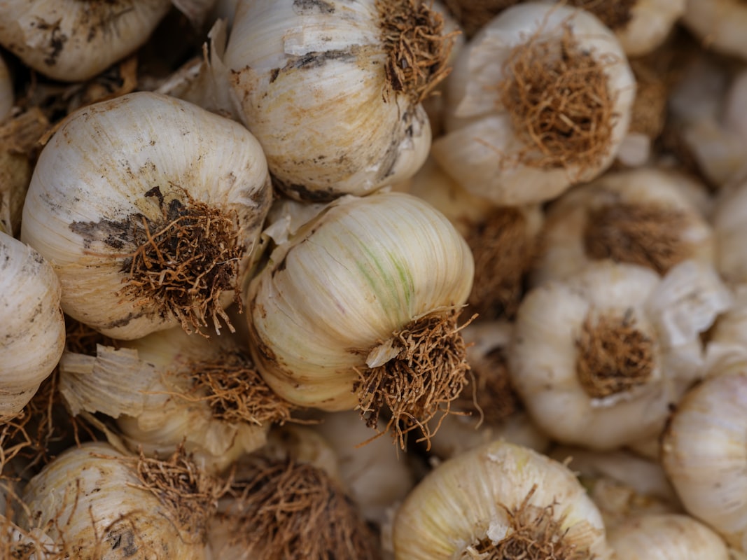 Aglio in Polvere Biologica